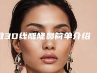 做3D线雕隆鼻简单介绍一些效果（线雕隆鼻是用什么做的）