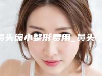 鼻头缩小整形费用_鼻头缩小整形价格高不高？
